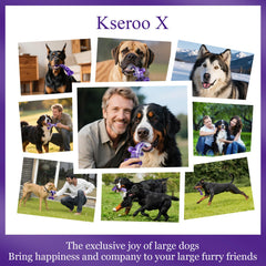 KSEROO X, conjunto de 4 huesos de nylon, durabilidad para hogares con varios masticadores
