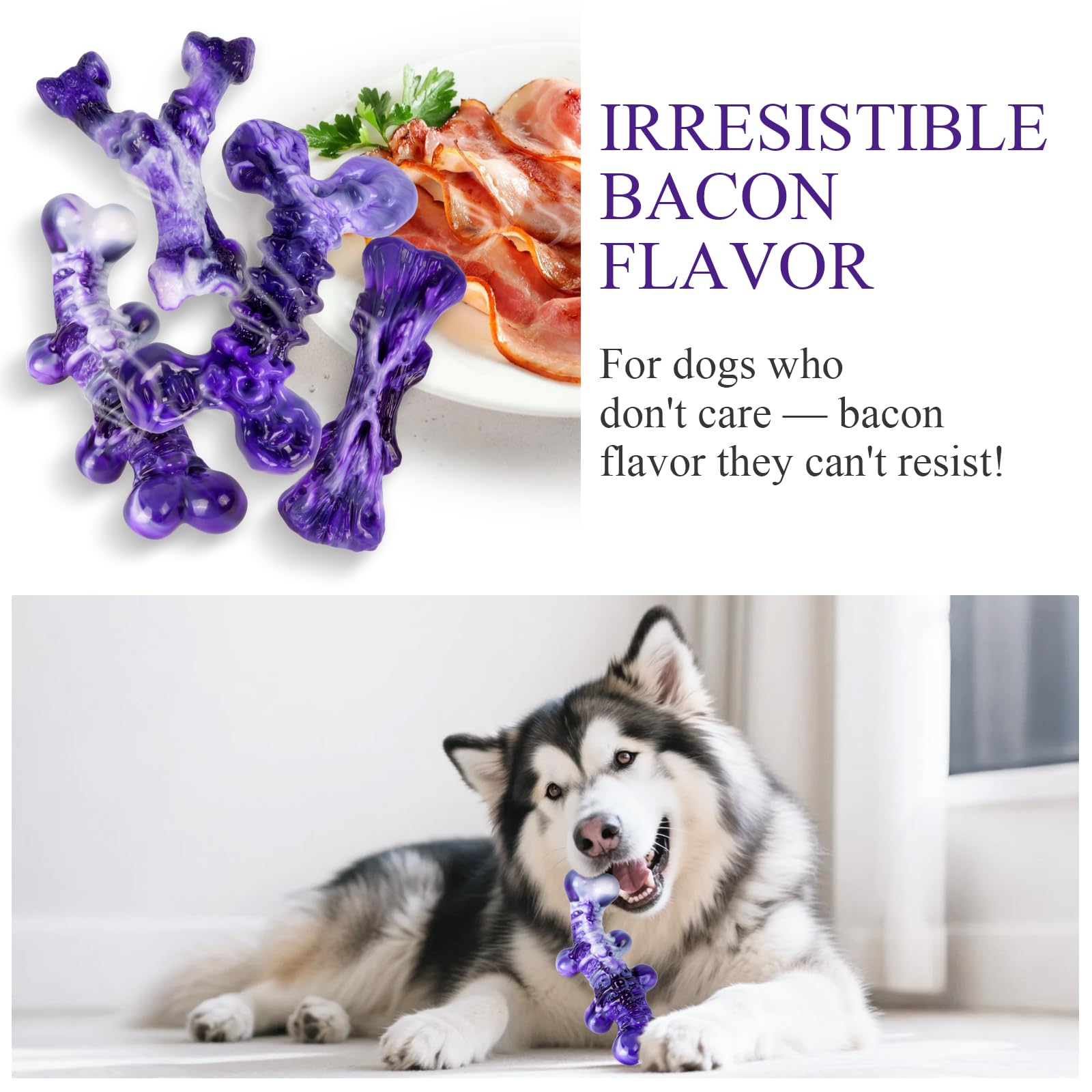 KSEROO X, sabor bacon, atractivo inmediato para perros curiosos