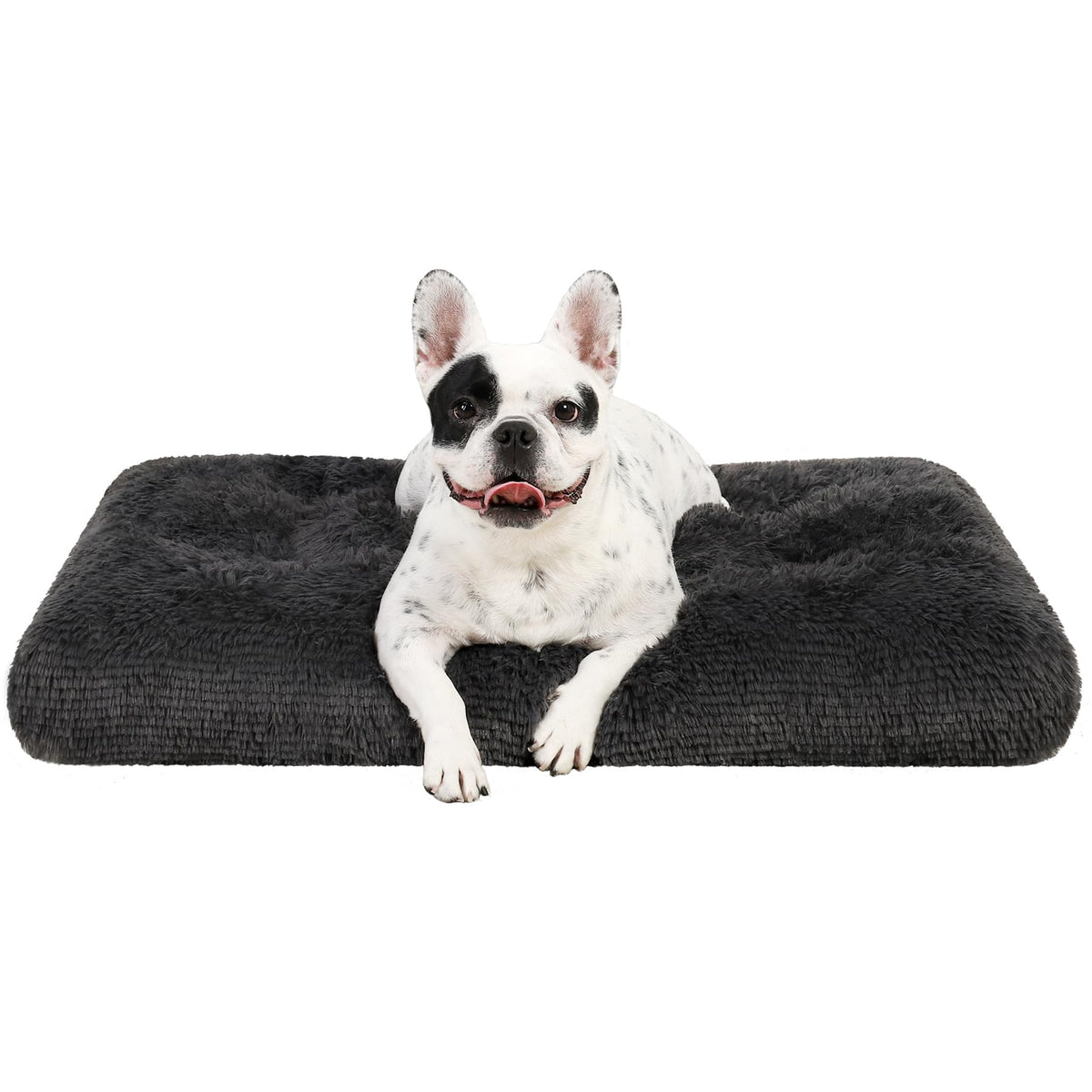 KSIIA cama kennel acolchada, sensación suave y cálida para perros medianos.