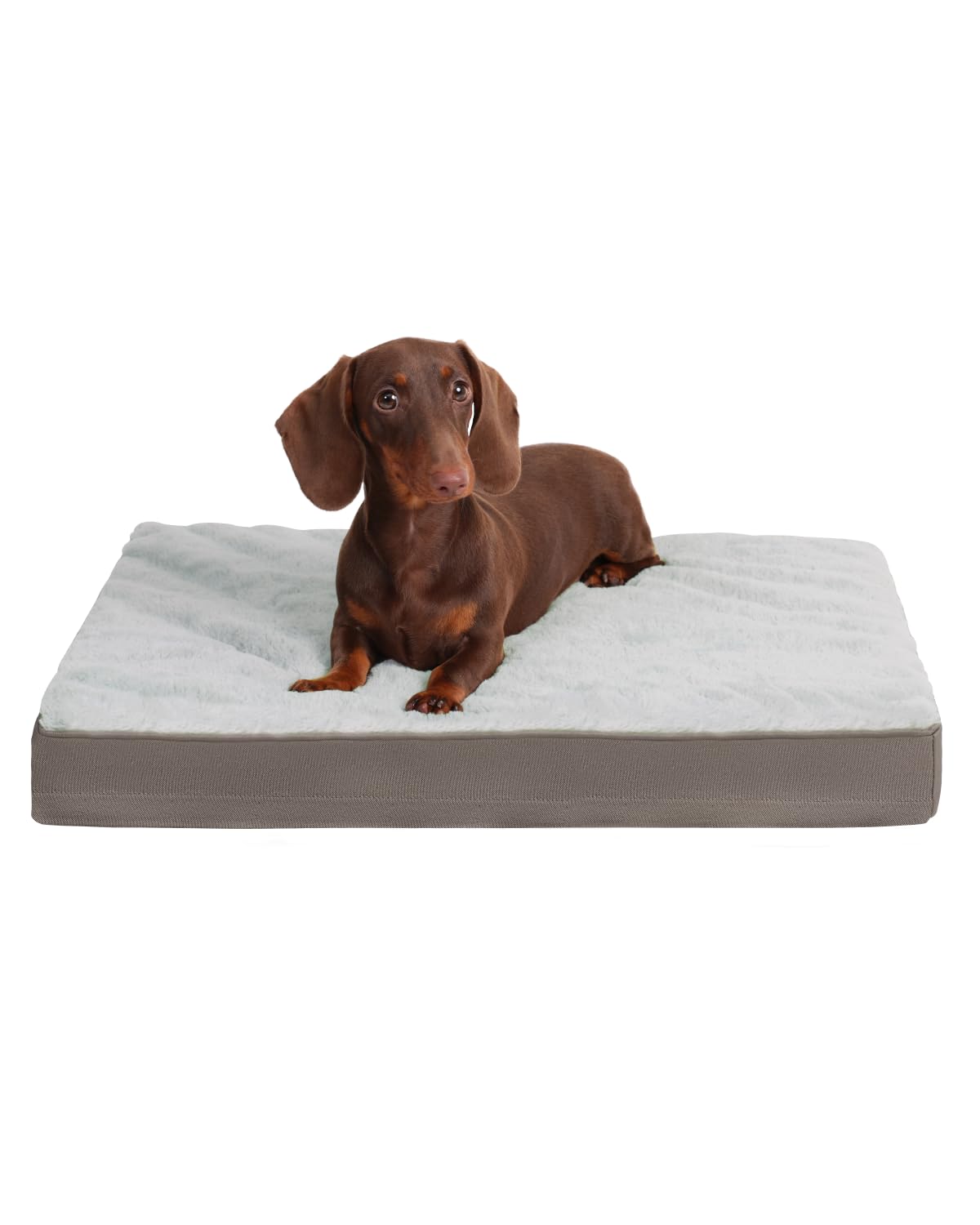Cama KSIIA ortopédica para perro con espuma tipo huevo y soporte para articulaciones.