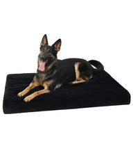KSIIA Cama ortopédica para perros grandes, frontal, soporte para articulaciones y descanso estable