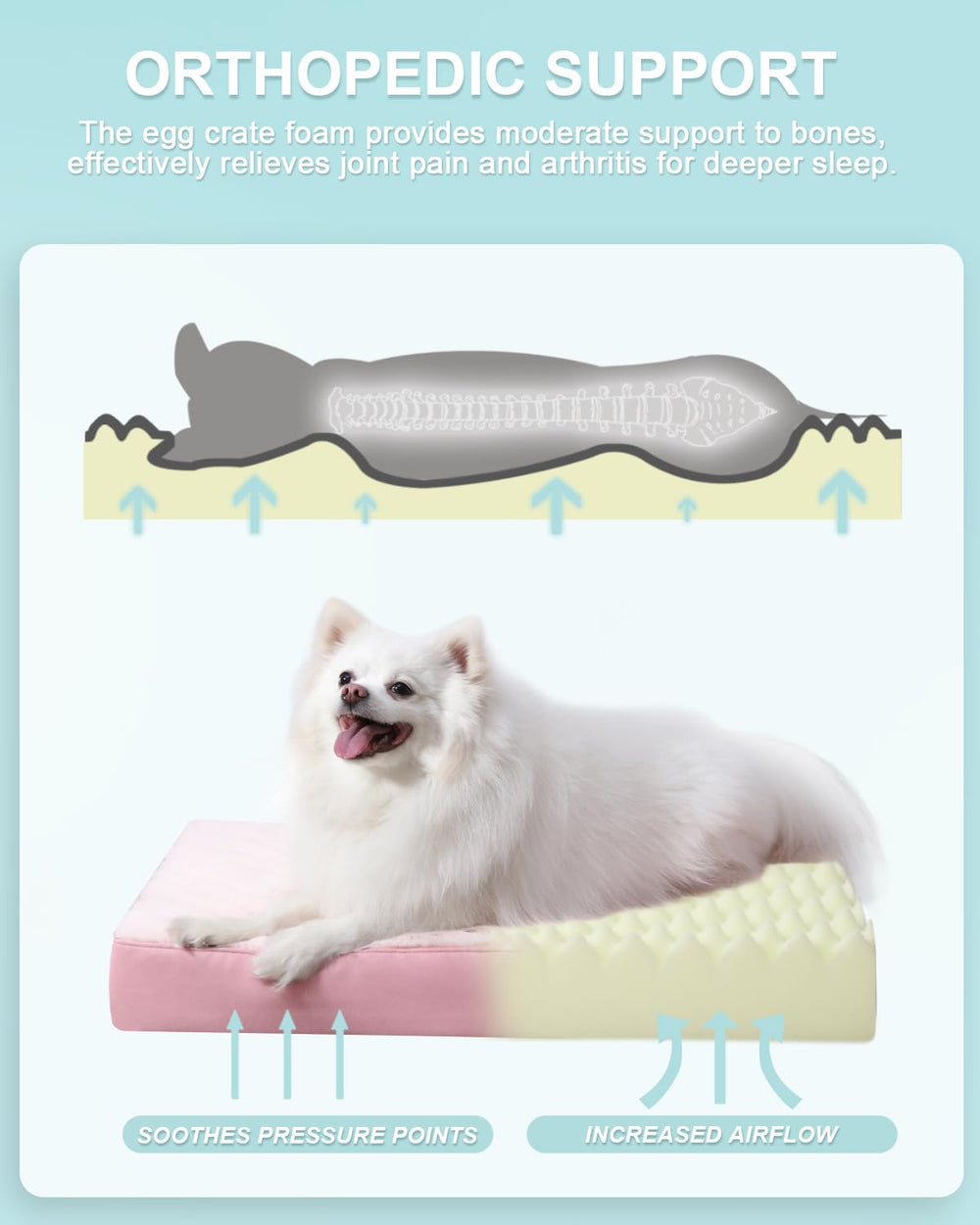 KSIIA cama para perro rosa con capa impermeable TPU para mantener la espuma seca