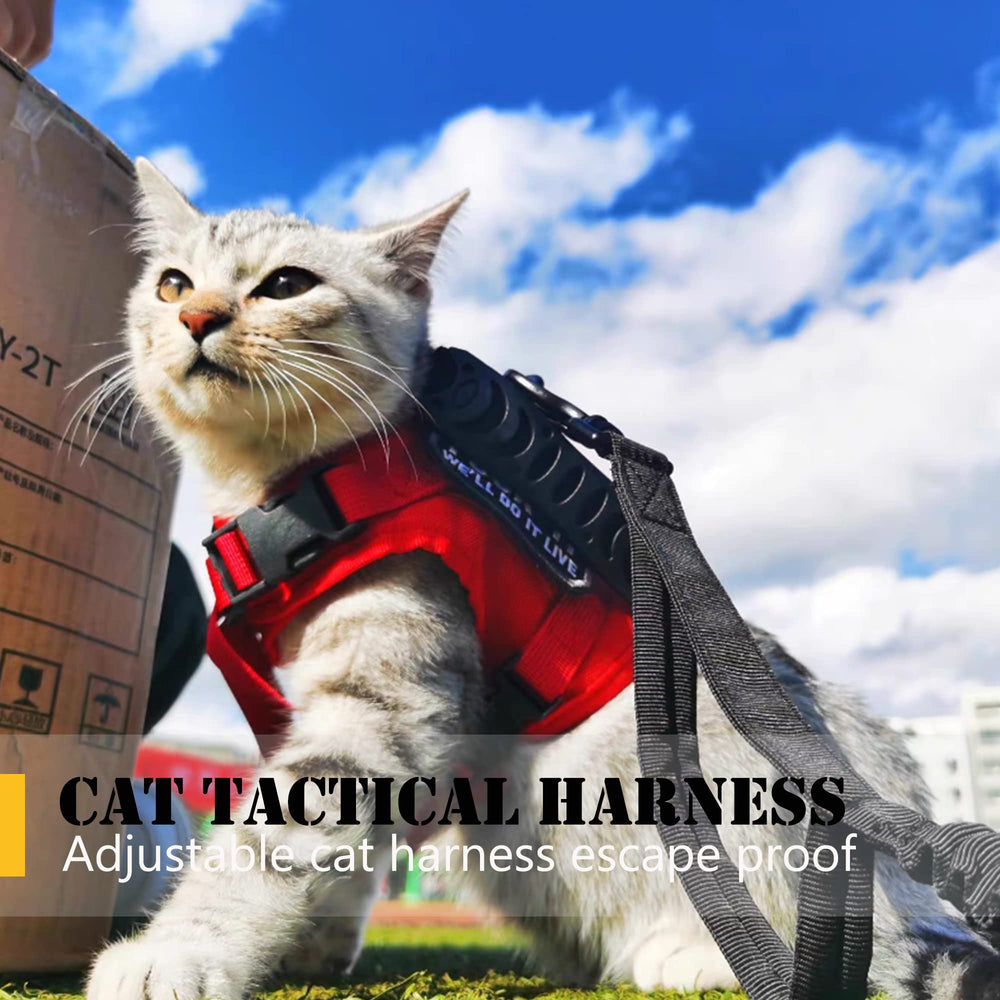 Sistema de ajuste de cuatro puntos de KUCDBUN para gato rojo con ajuste seguro.
