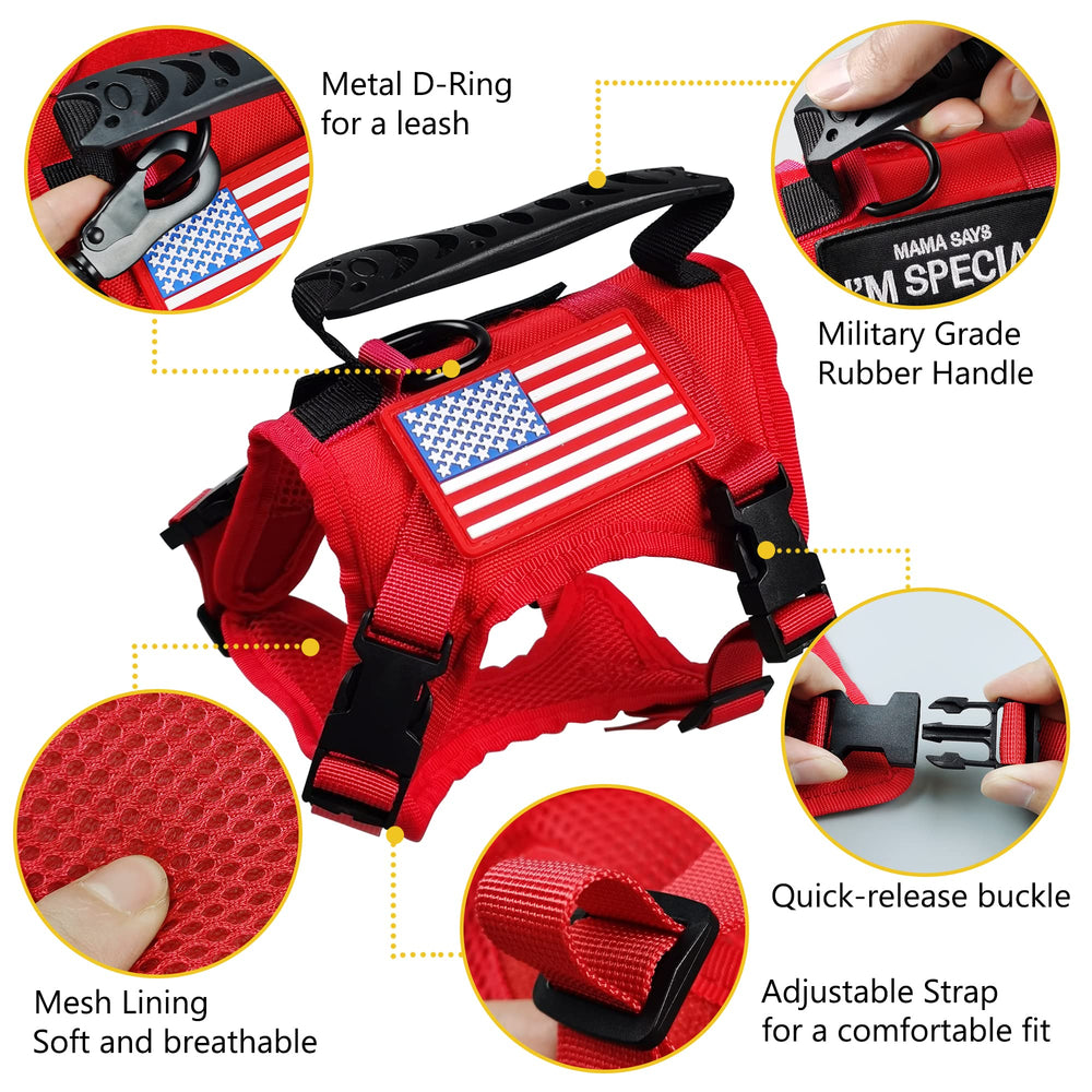 Correa táctica KUCDBUN para gato rojo, ideal para aventuras al aire libre.