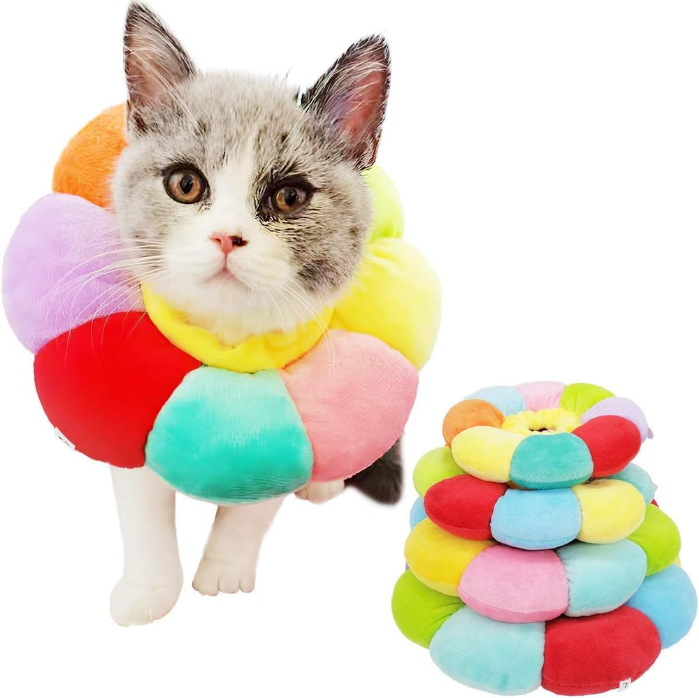 KUDES collar-recuperacion-gato-pequeno-xs, cómodo y seguro para la curación.