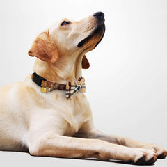 KUDES lazo movible en collar para ajustar estilo fácilmente.