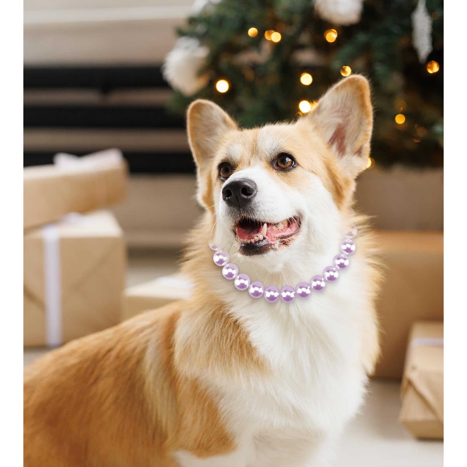 KUDES look glamoroso para fiestas y eventos caninos.