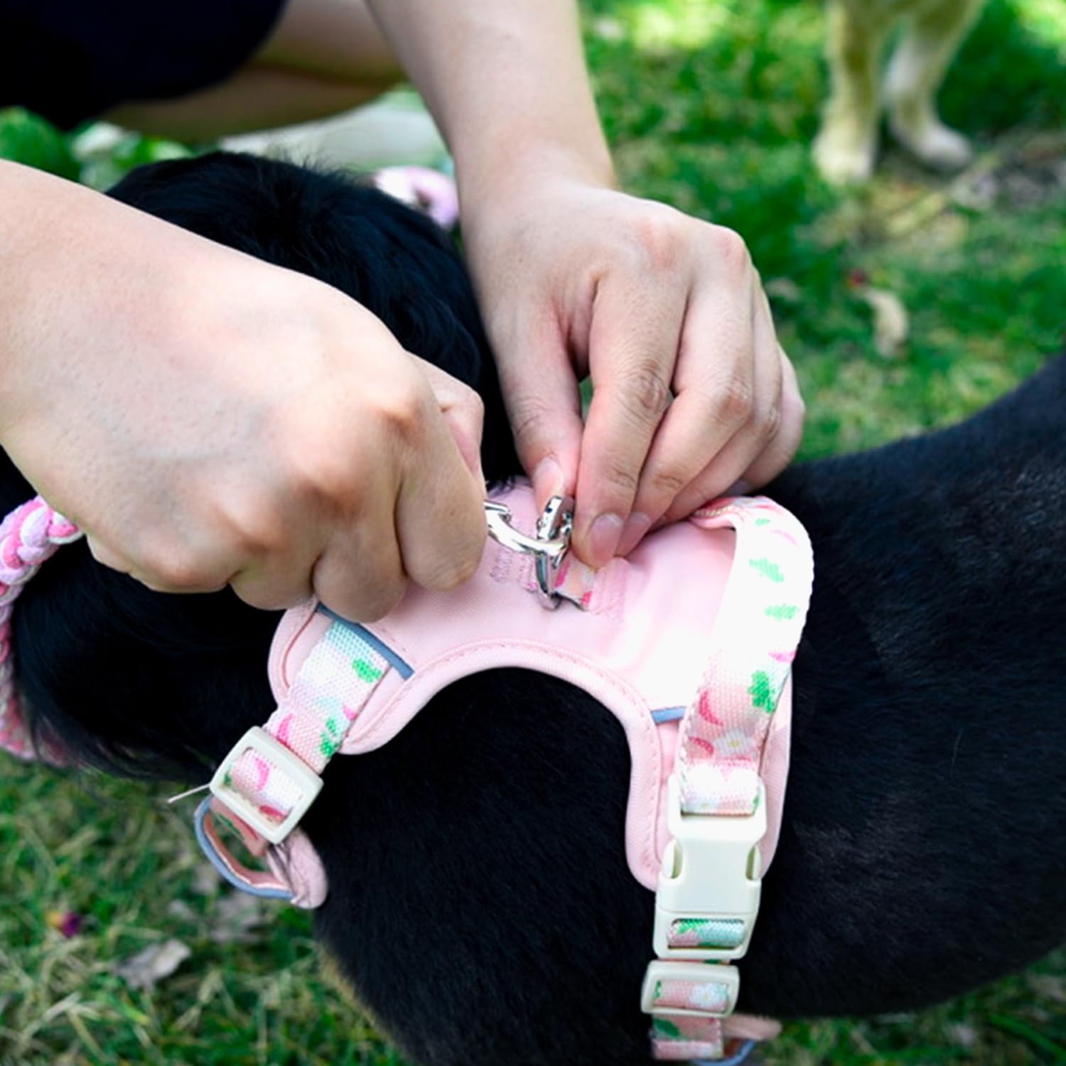 Correa Kudos en uso durante un paseo, cómodo y seguro.