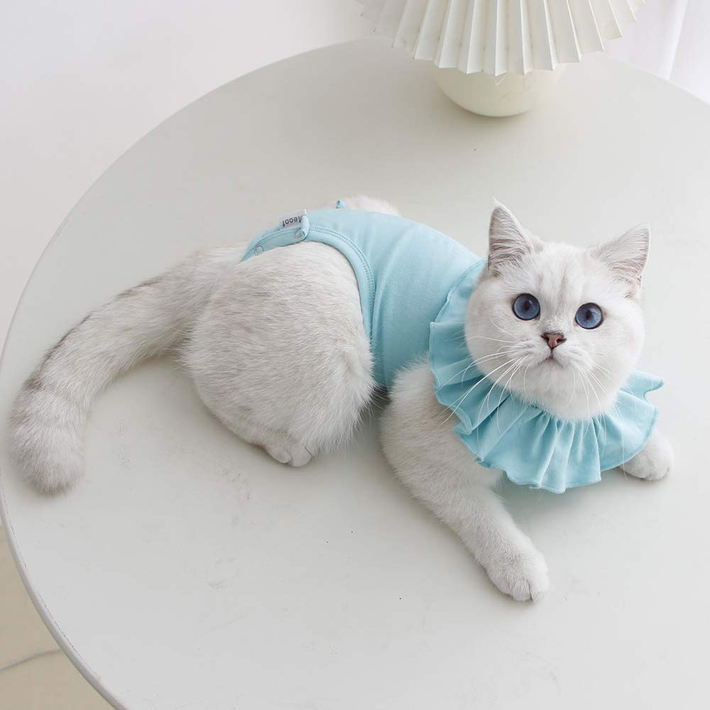 Kukaster Pet: alternativa al collar isabelino para gatas.