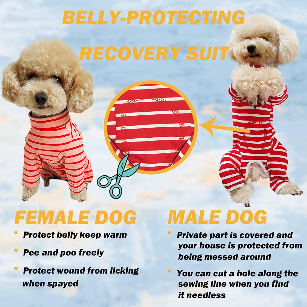 Kukaster Pet Recovery Suit material suave y transpirable: comodidad diaria.