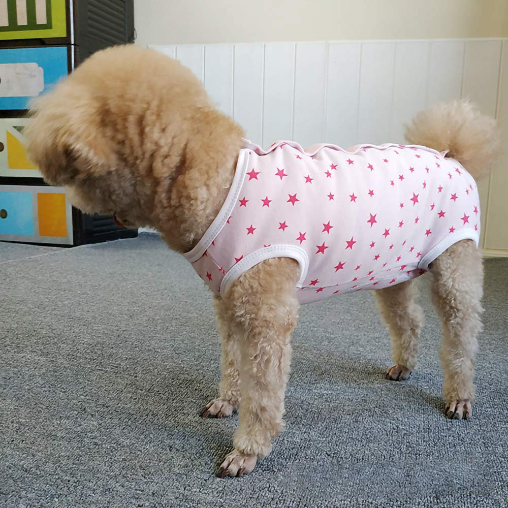 Kukaster Pet traje recuperación perro abertura para orinar: comodidad en casa.
