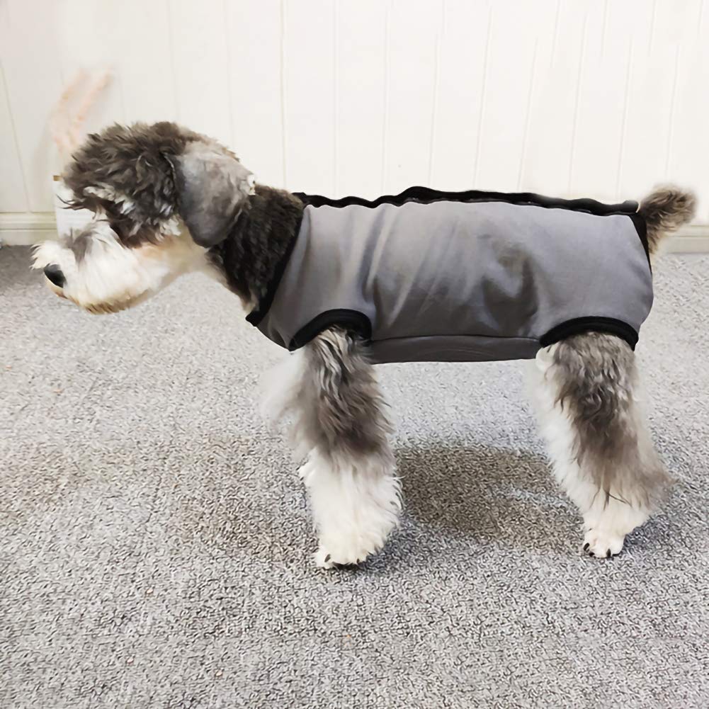 Kukaster Pet Traje de Recuperación para Perro, apertura urinaria macho