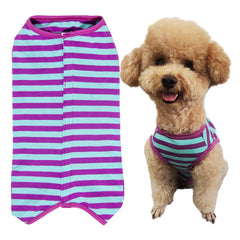 Traje de recuperación Kukaster Pet para perro, cómodo y suave.