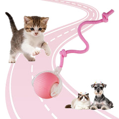 KumCinm bola interactiva para gatos en interiores promueve juego seguro