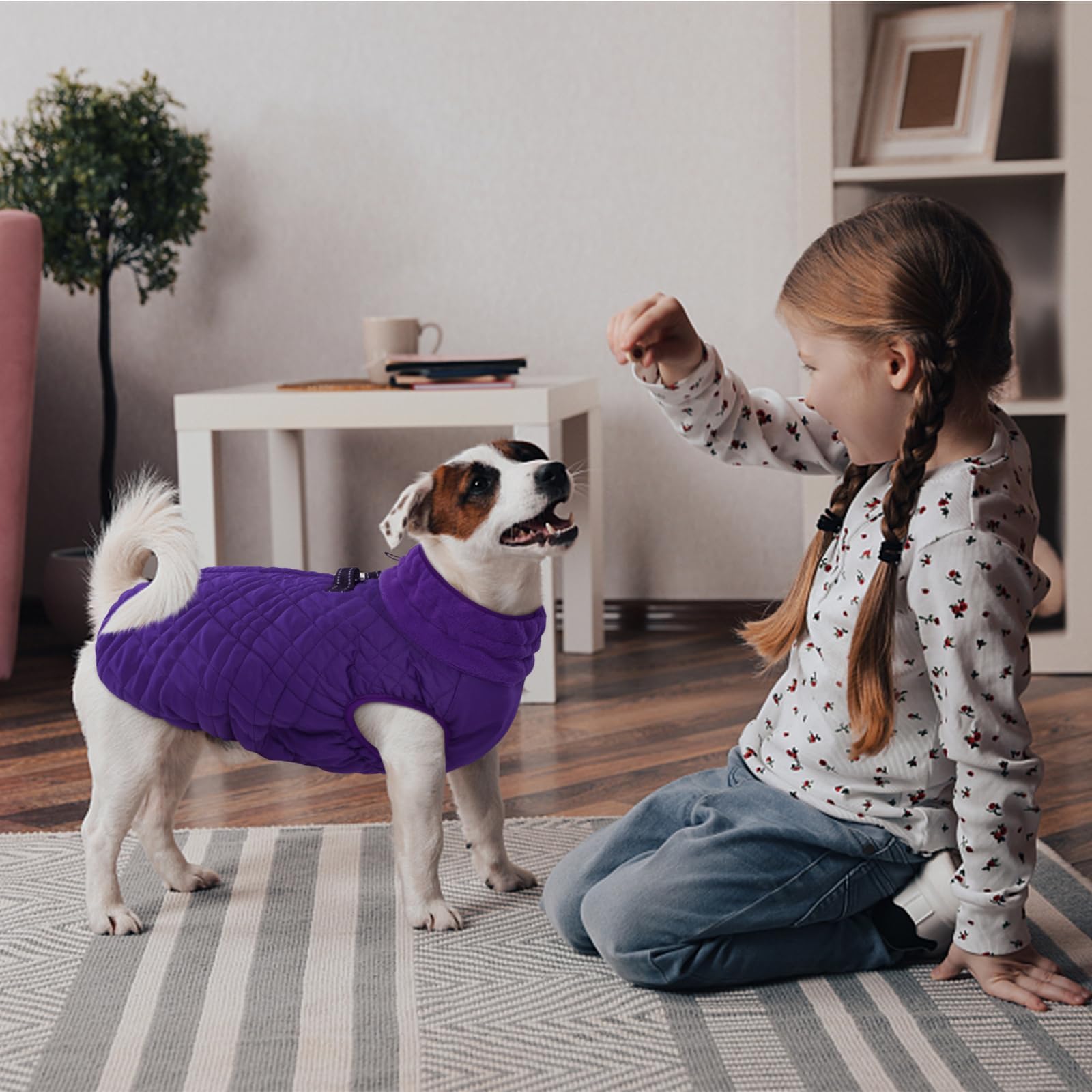 Kuoser abrigo para uso diario invernal, perfecto para perros pequeños.