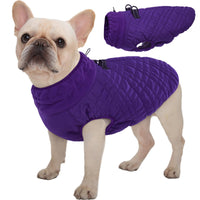 Kuoser abrigo para perro con impermeable morado, ideal para lluvia.