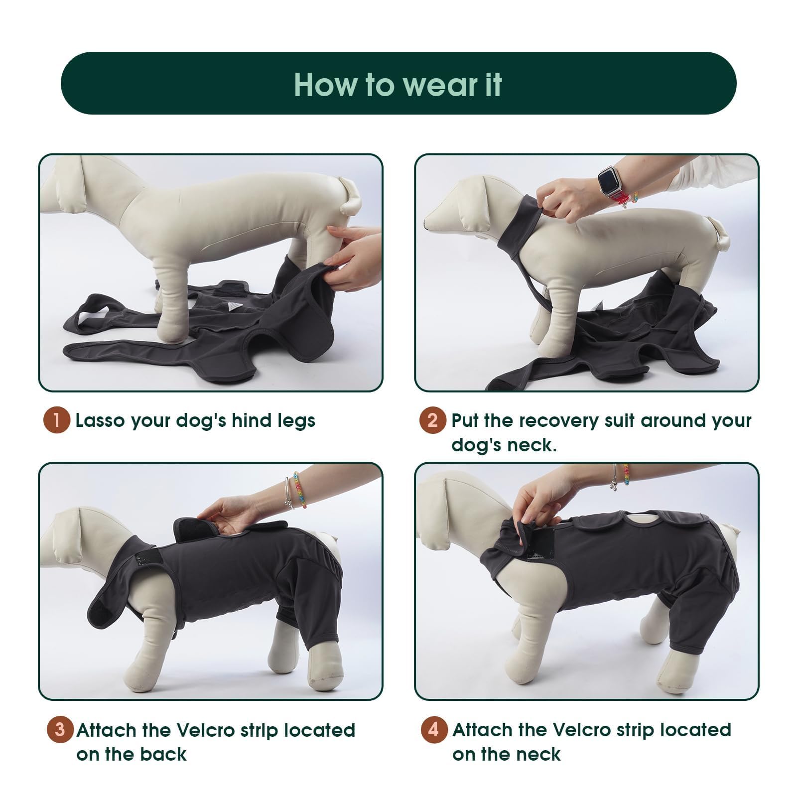 Kuoser Alternativa al collar, protege la zona afectada sin incomodar