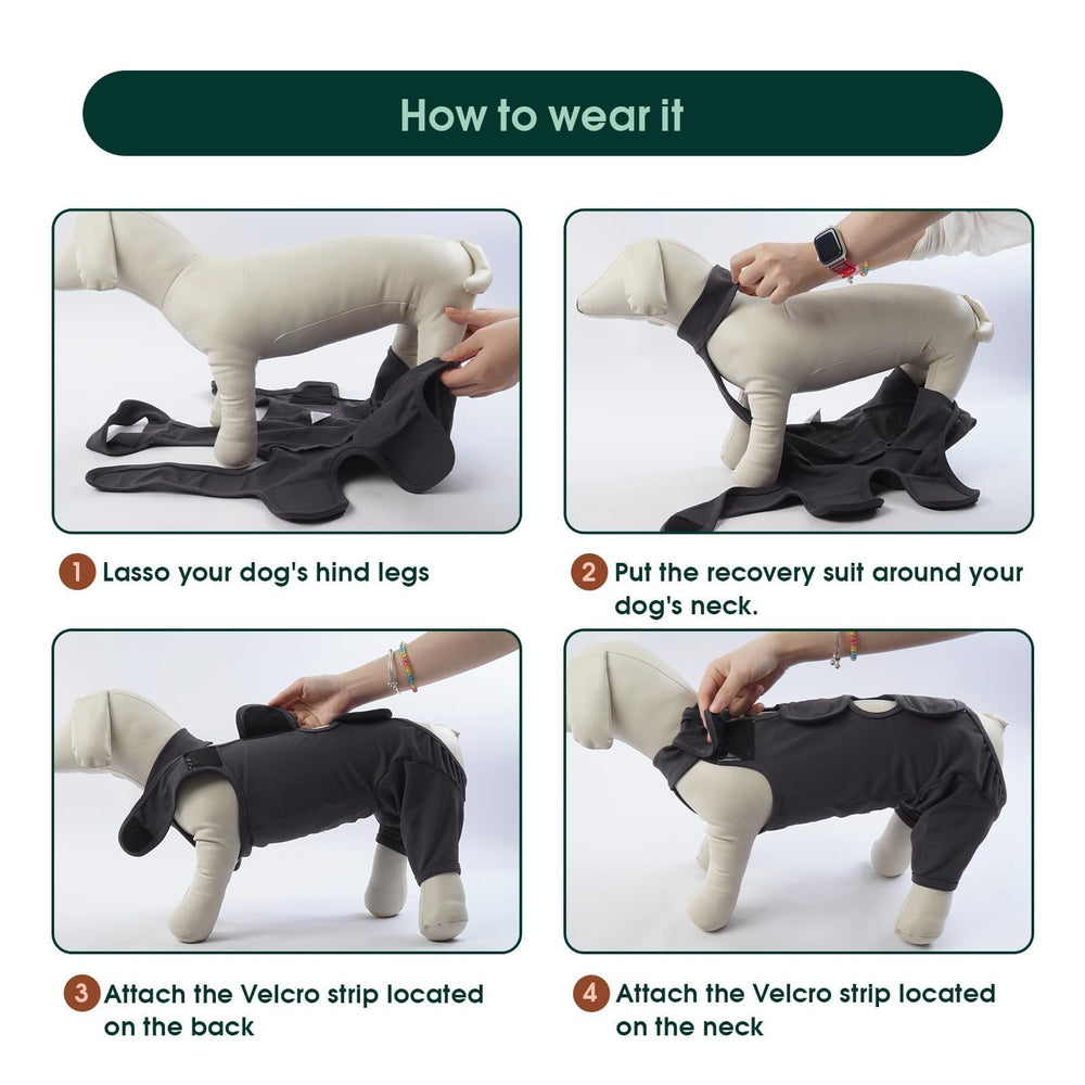 Kuoser Alternativa al collar, protege la zona afectada sin incomodar