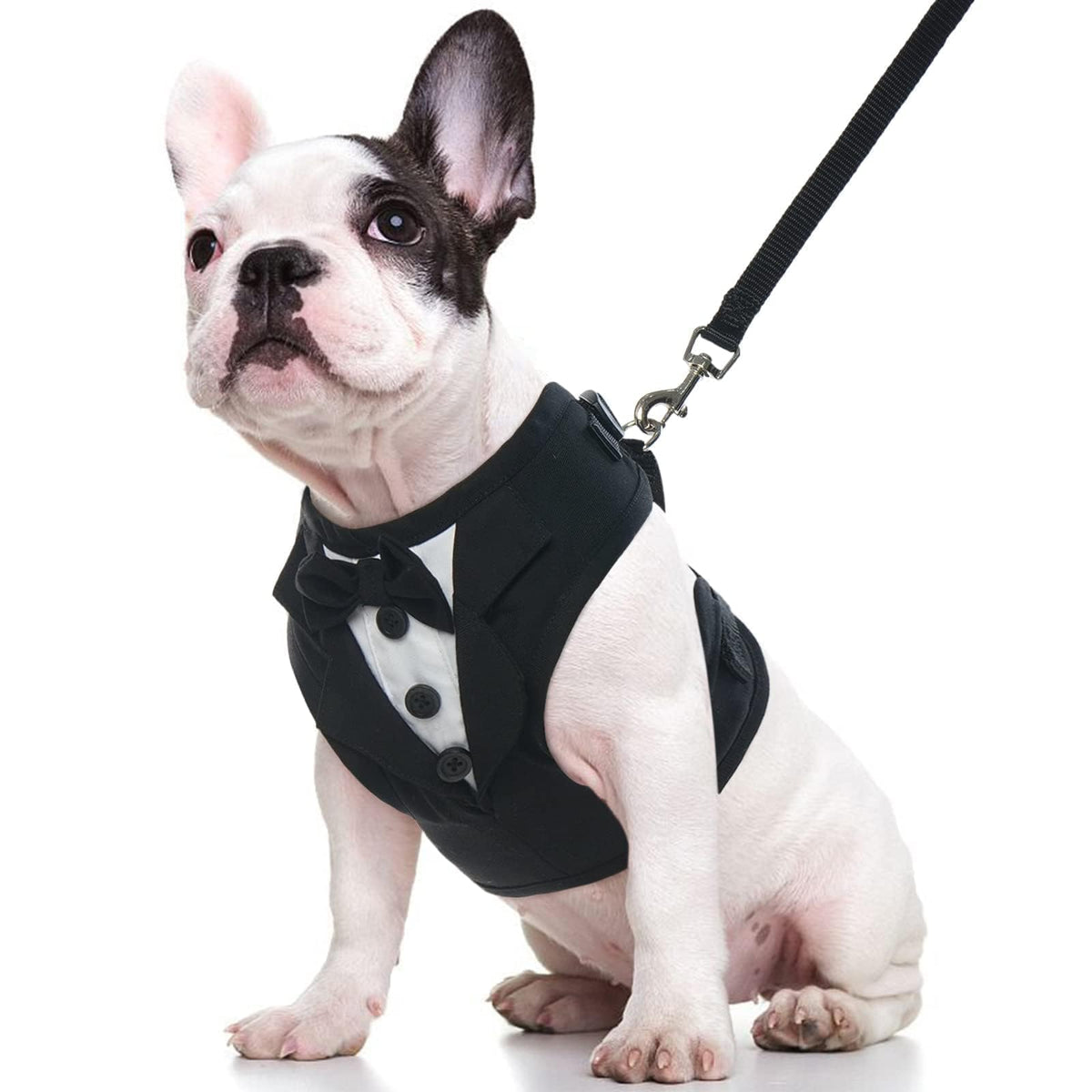 Kuoser Arnes Tuxedo Perro Lazo: diseño elegante para salidas con estilo.