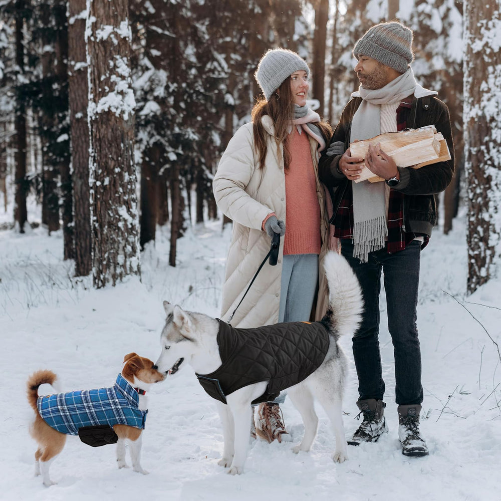 Kuoser capa para exterior: ideal para caminatas y paseos diarios.