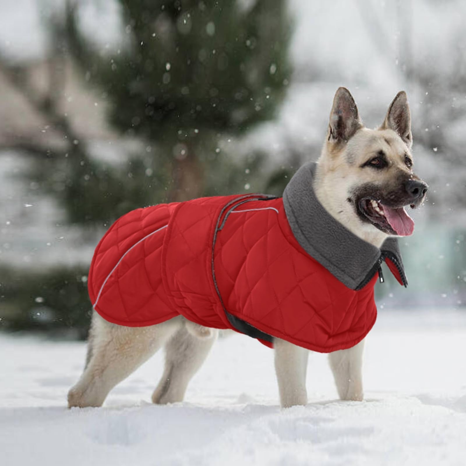 Kuoser Extrawarm, uso diario para paseos y entrenamiento de perros grandes.