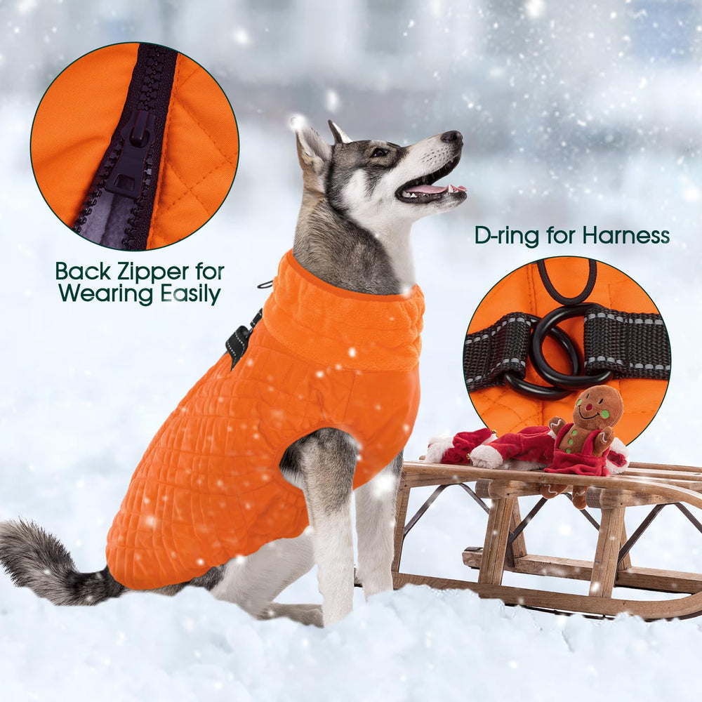 Cazadora Kuoser impermeable para nieve, mantiene al perro seco durante caminatas