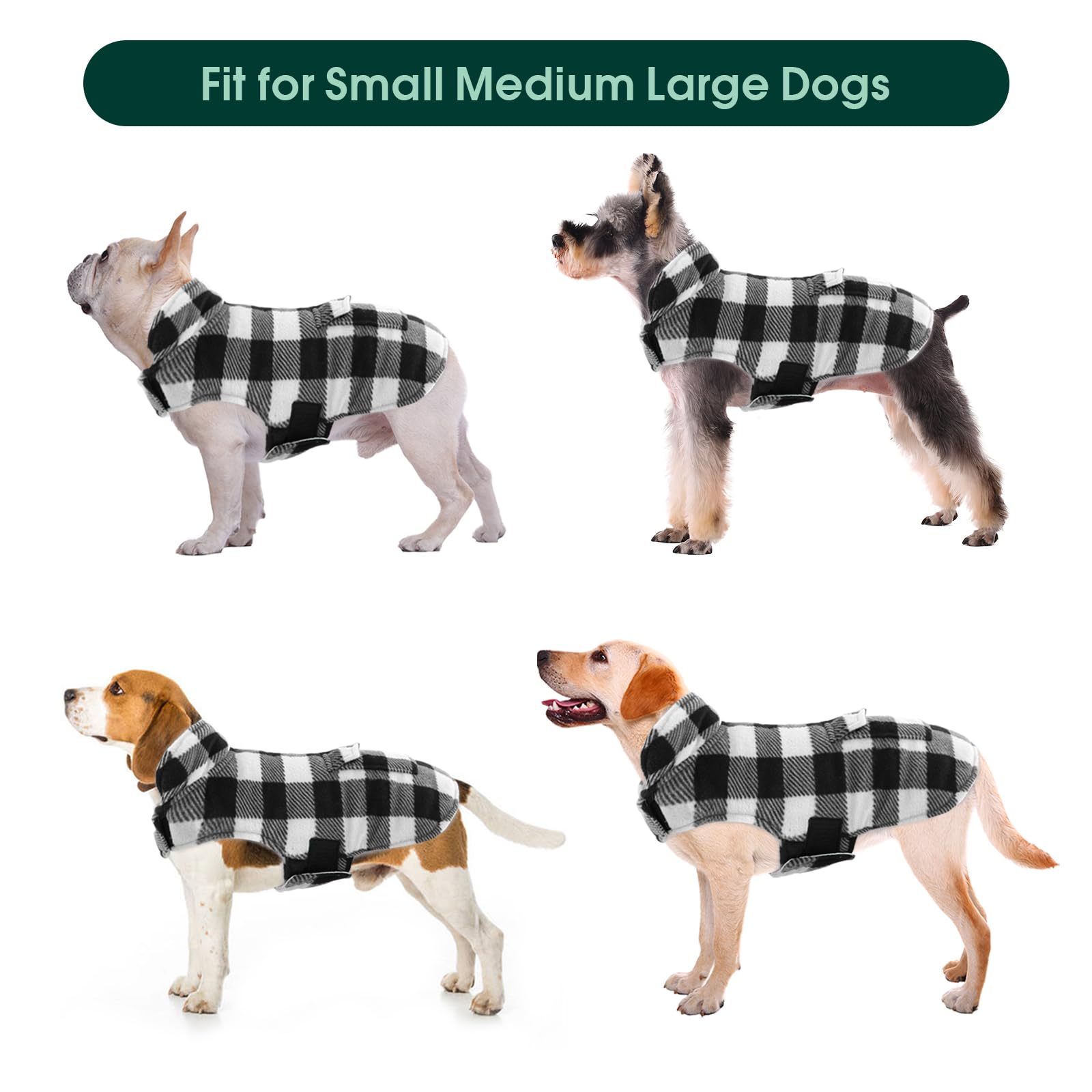 Kuoser cazadora para perro: ideal para caminatas y actividades al aire libre