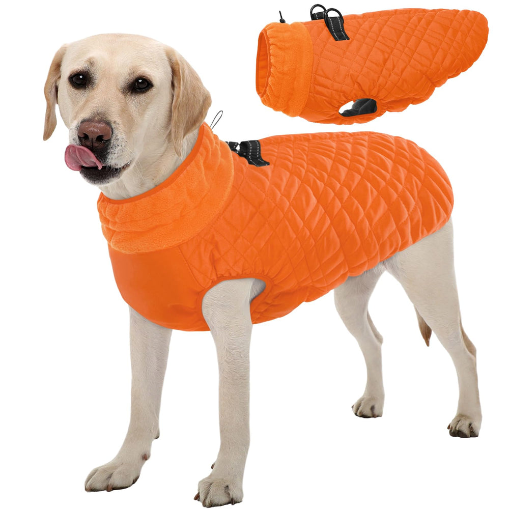Cazadora Kuoser para perro naranja, vista frontal, abriga y protege del viento