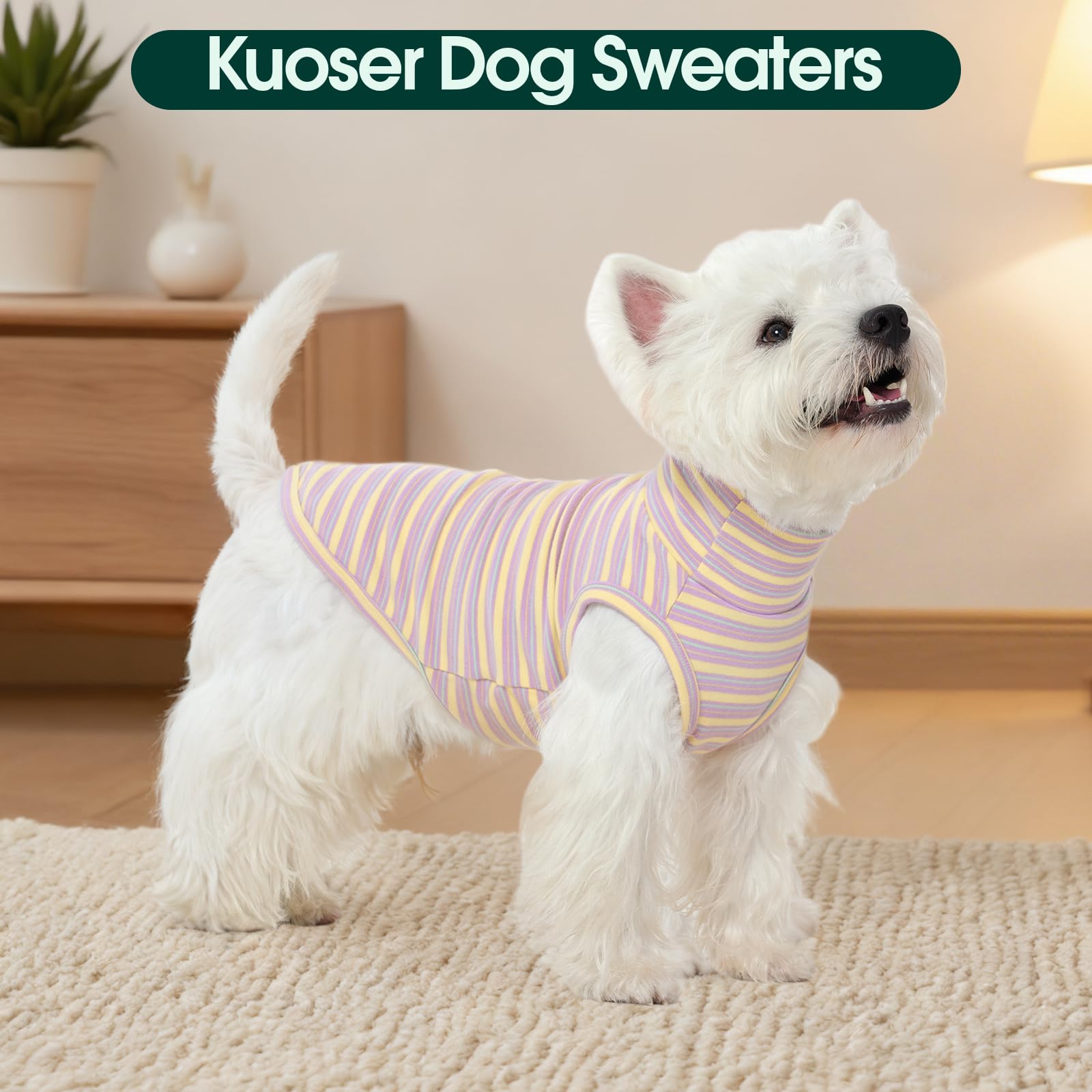 Kuoser chaleco perro rayado para salidas con estilo.