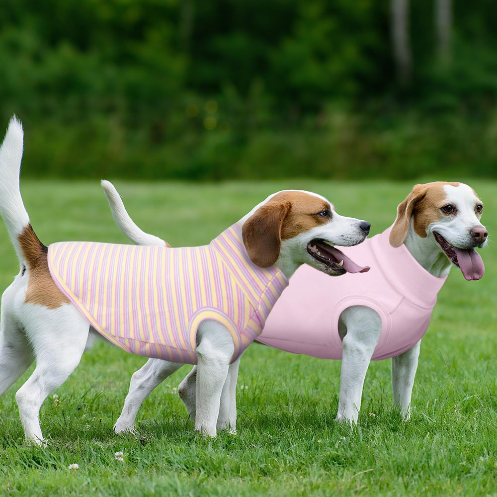 Kuoser chaleco perro talla ajustable para todas las razas.