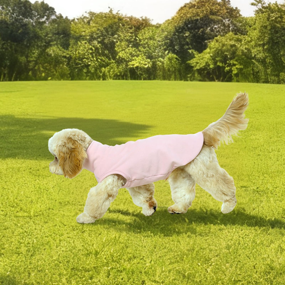 Kuoser chaleco perro uso diario de invierno para casa cálida.