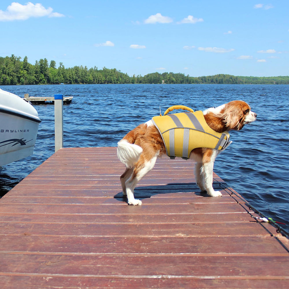Kuoser chaleco ofrece flotación alta para mantener al perro a flote.