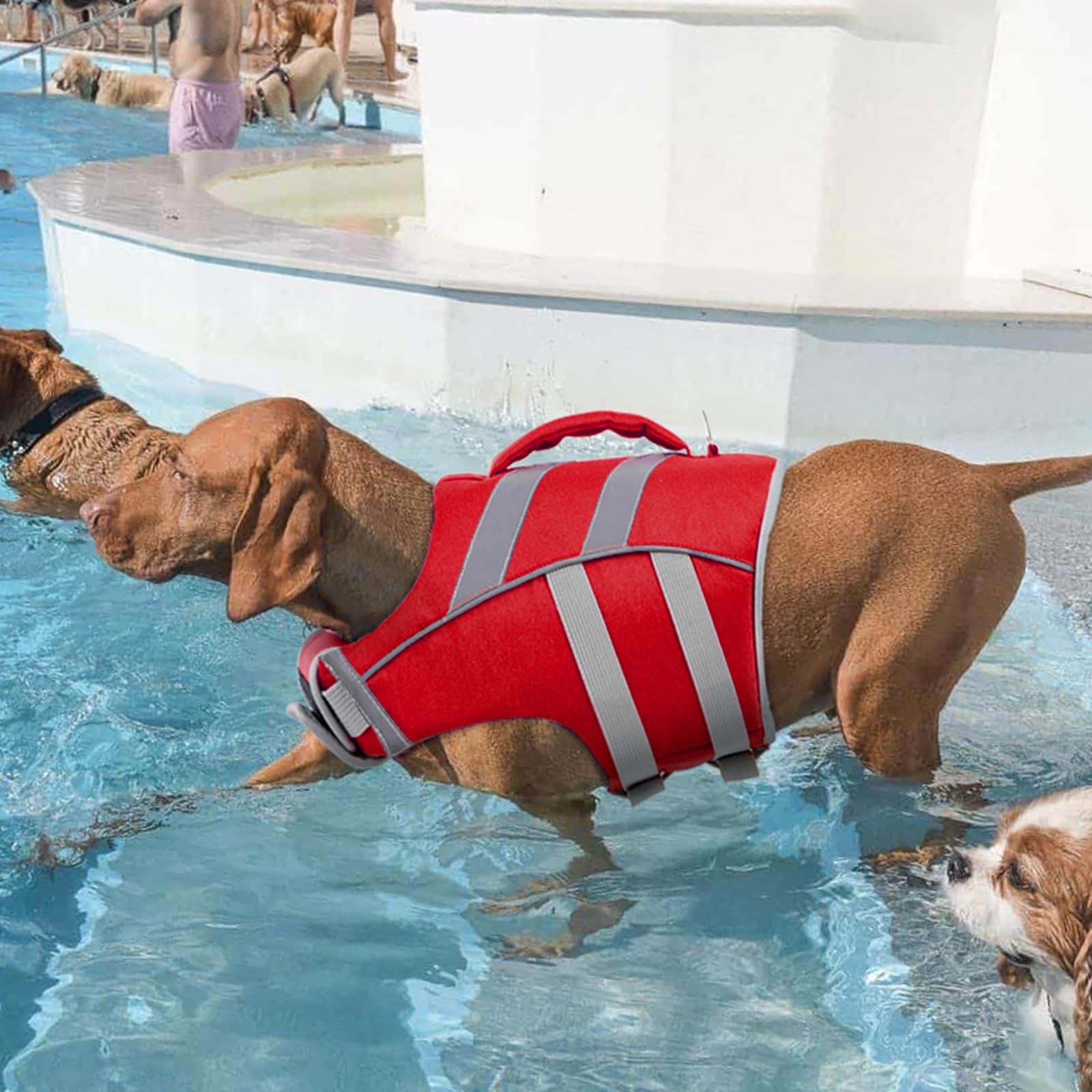 Kuoser chaleco para perros con flotación estable y visibilidad en el agua.
