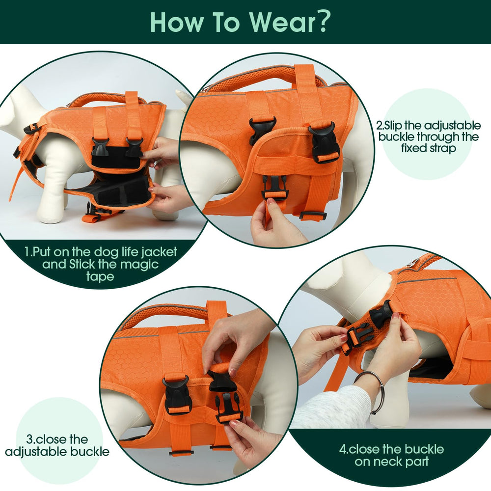 Tallas XS-XXL Kuoser para perros de todas las dimensiones.