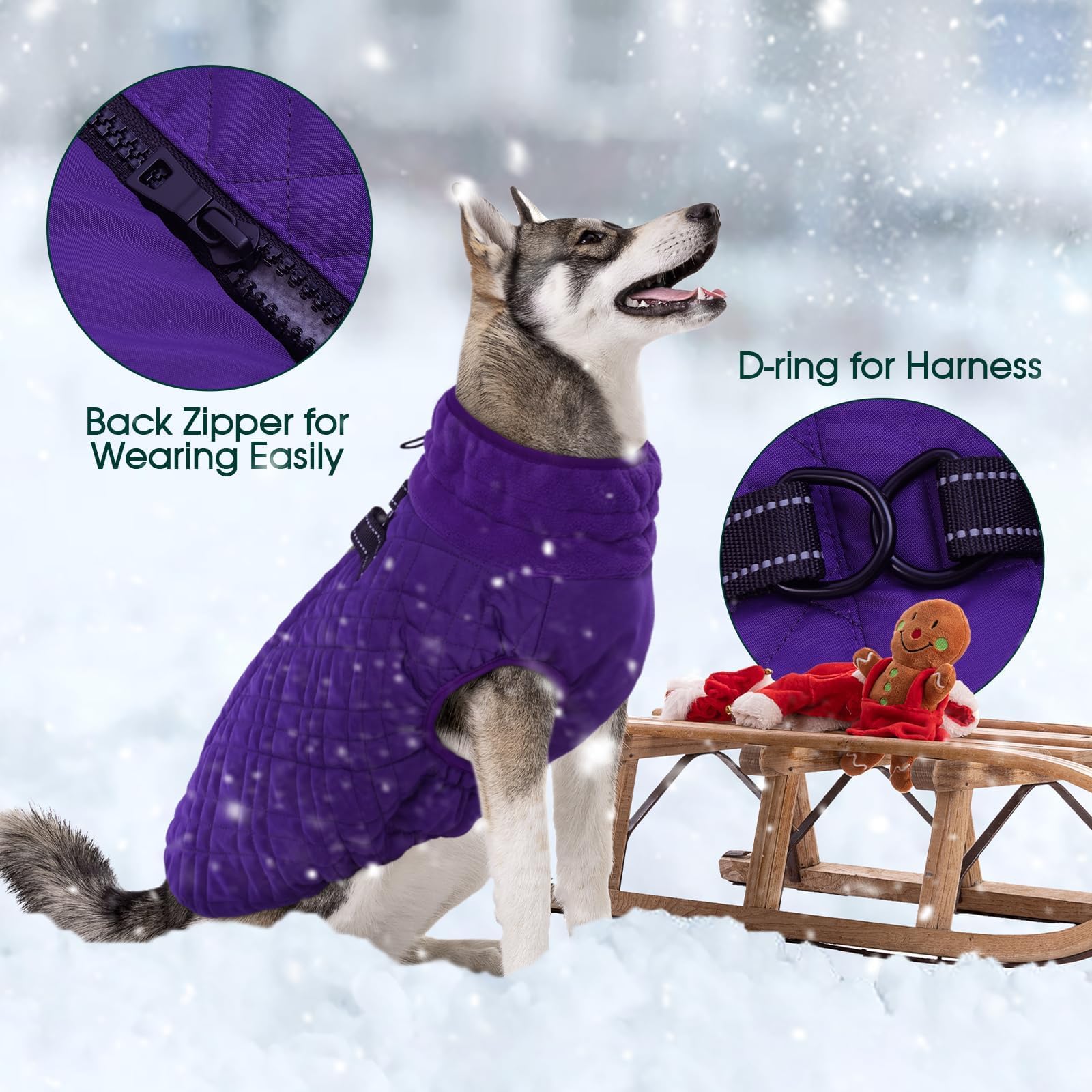 Kuoser chaqueta-perro-nieve, protección contra viento y cierre trasero práctico