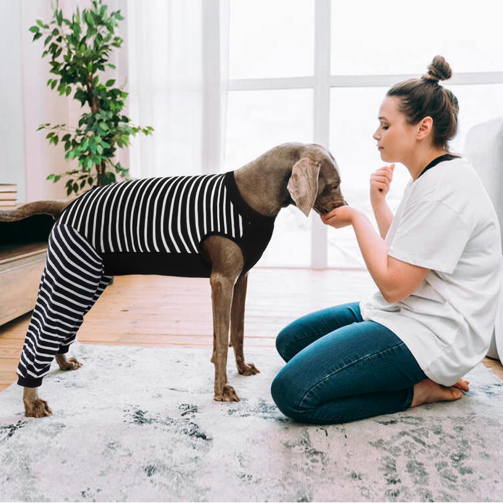 Kuoser: cobertura de patas traseras para rehabilitación segura