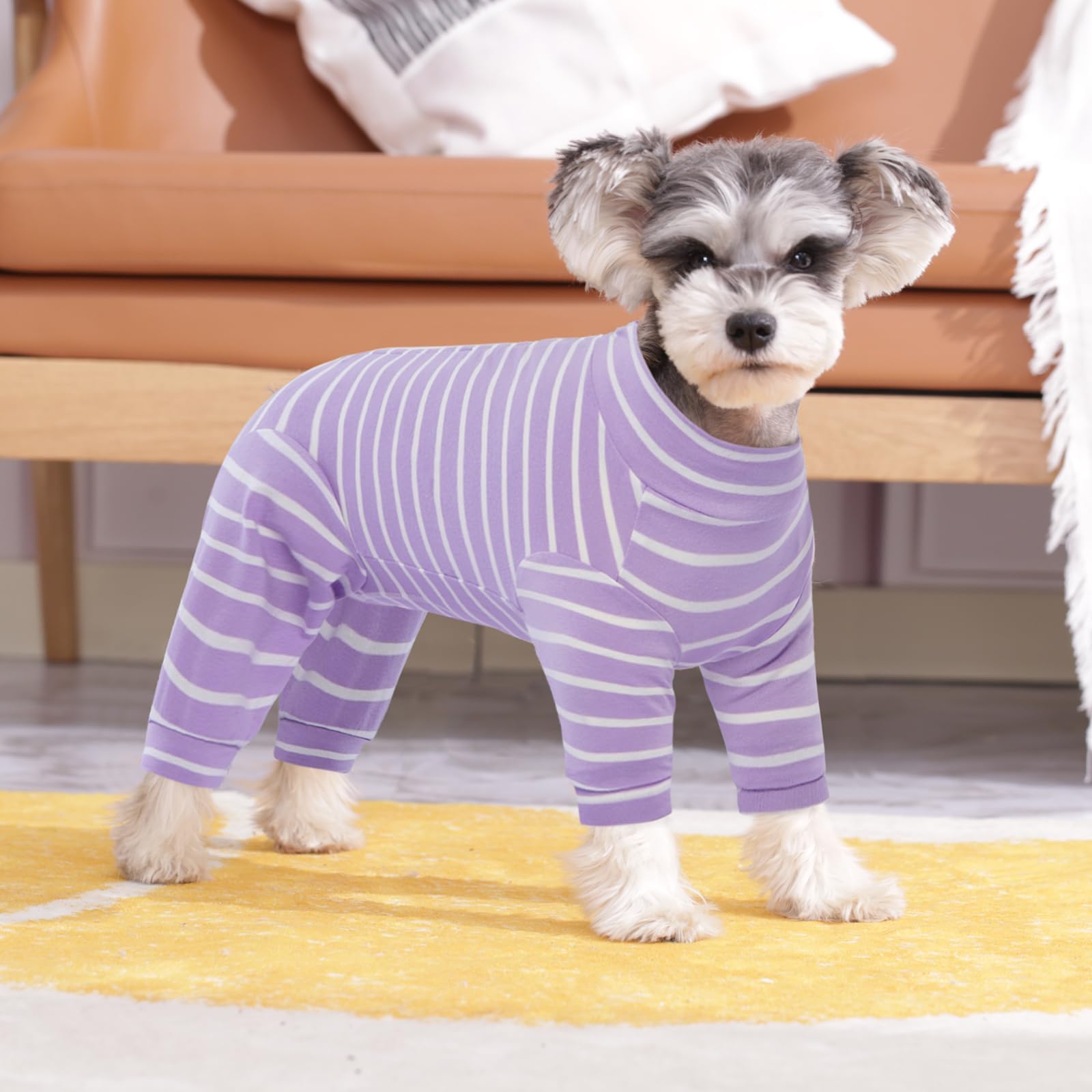 Kuoser color violeta mediano: estilo suave y fácil de combinar.