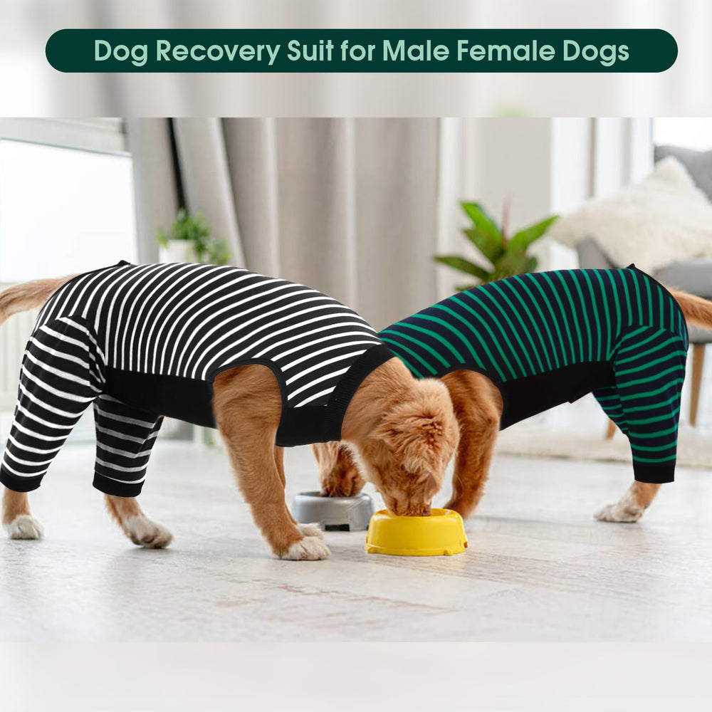 Diseno de ajuste ergonimico Kuoser para perros en recuperacion.