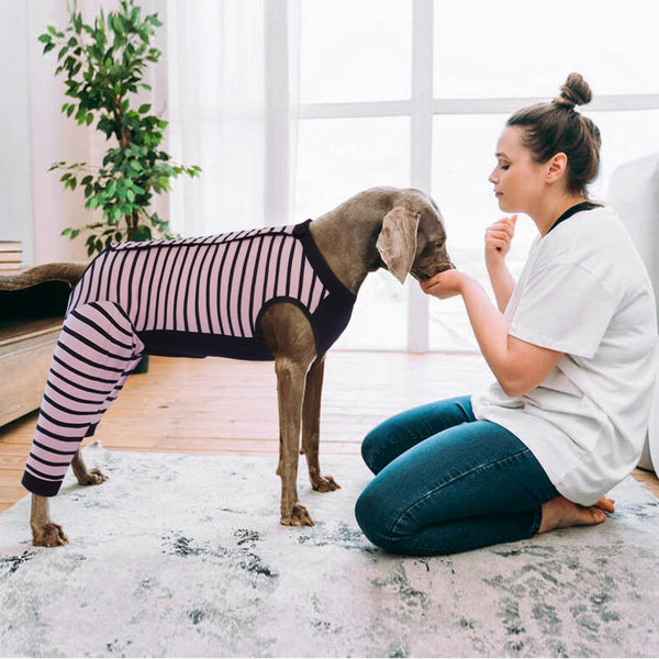 Kuoser diseño de ajuste seguro mantiene el traje en su lugar