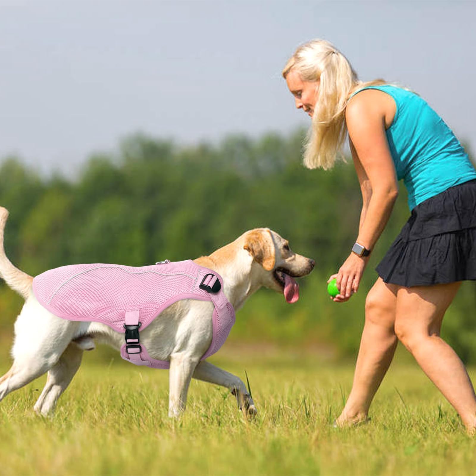 Guía de tallas Kuoser para chaleco de enfriamiento canino, elige la talla correcta