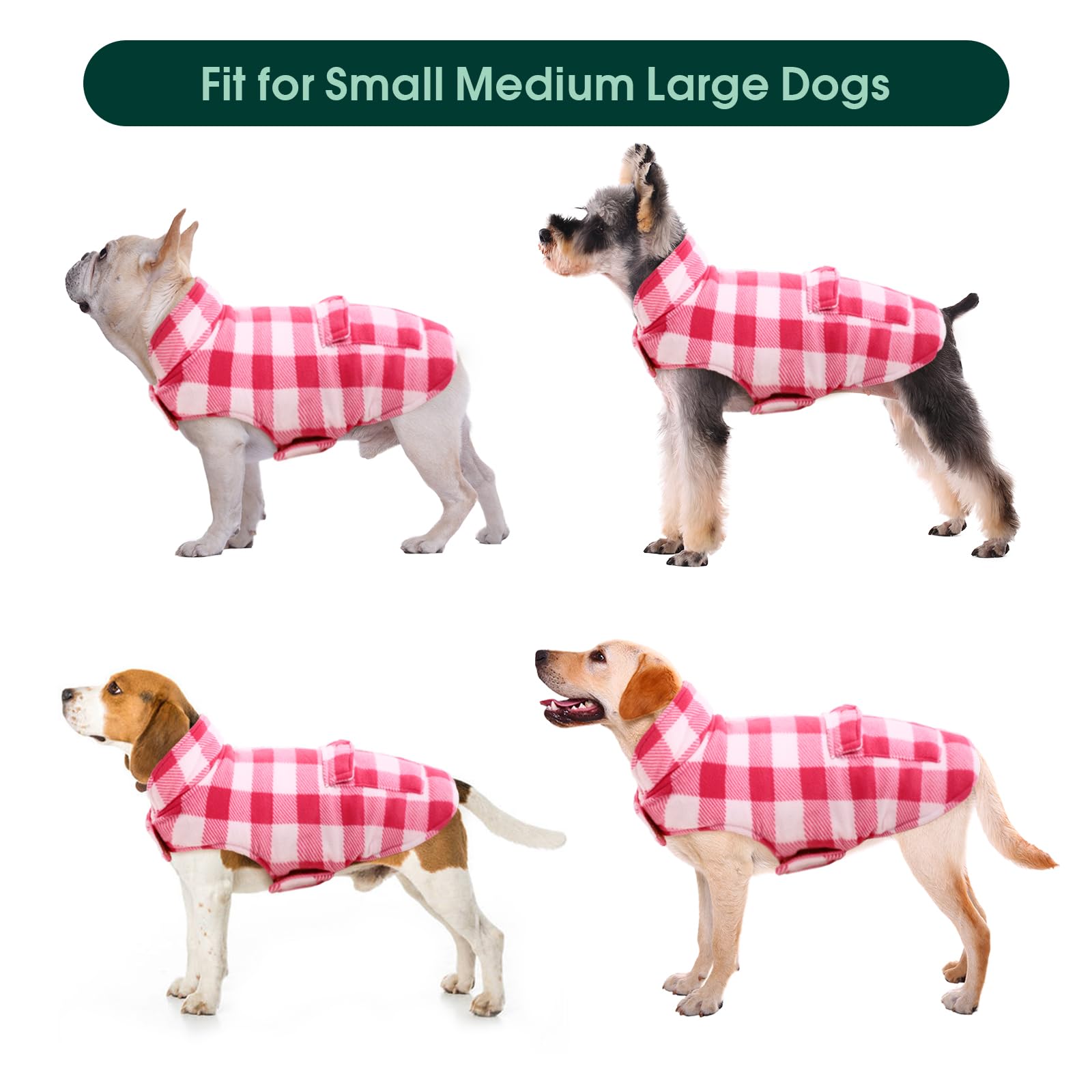 Kuoser variedad de tallas, desde XS a 3XL para perros pequeños y grandes.