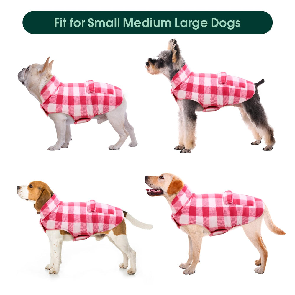 Kuoser variedad de tallas, desde XS a 3XL para perros pequeños y grandes.
