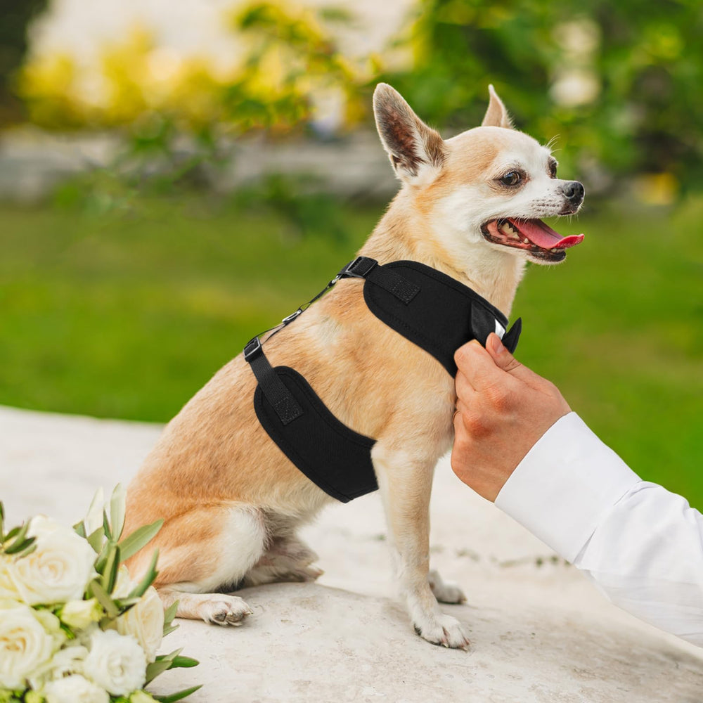 Kuoser Perro Paseo Exterior: comodidad y estilo durante caminatas.