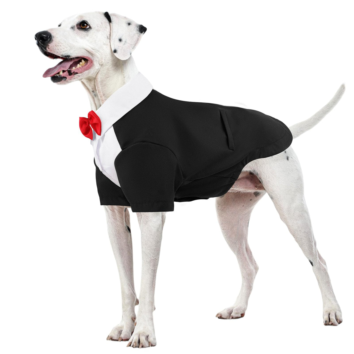 Kuoser tuxedo para perros con bandana, vista frontal lista para fotos de ocasión.