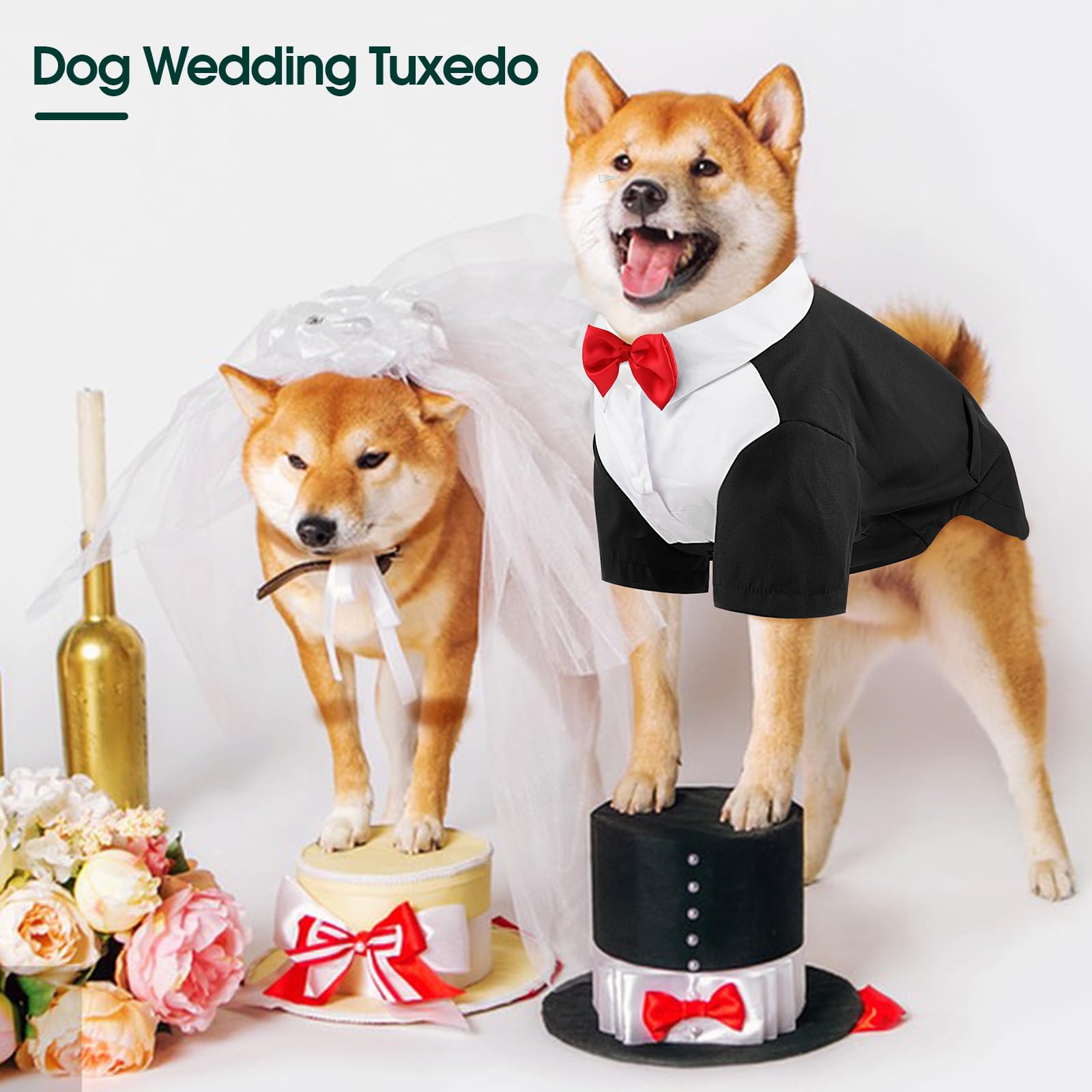 Disponible en tallas para perros pequeños a grandes.