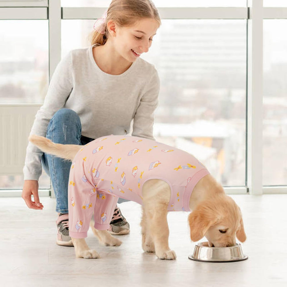 Kuoser protección de piel sensible durante recuperación canina