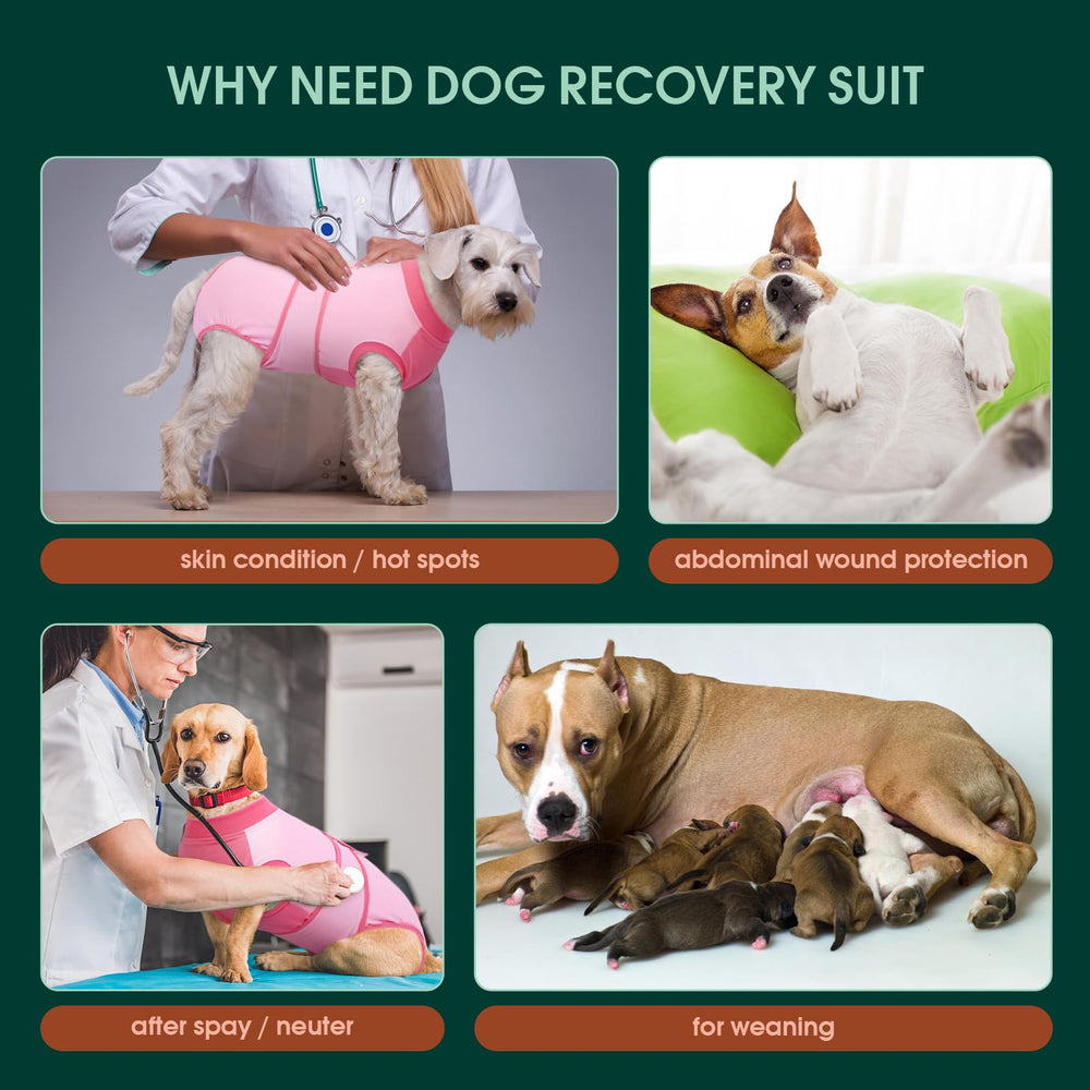 Kuoser Recovery Suit ligero y transpirable para uso diario en perros.