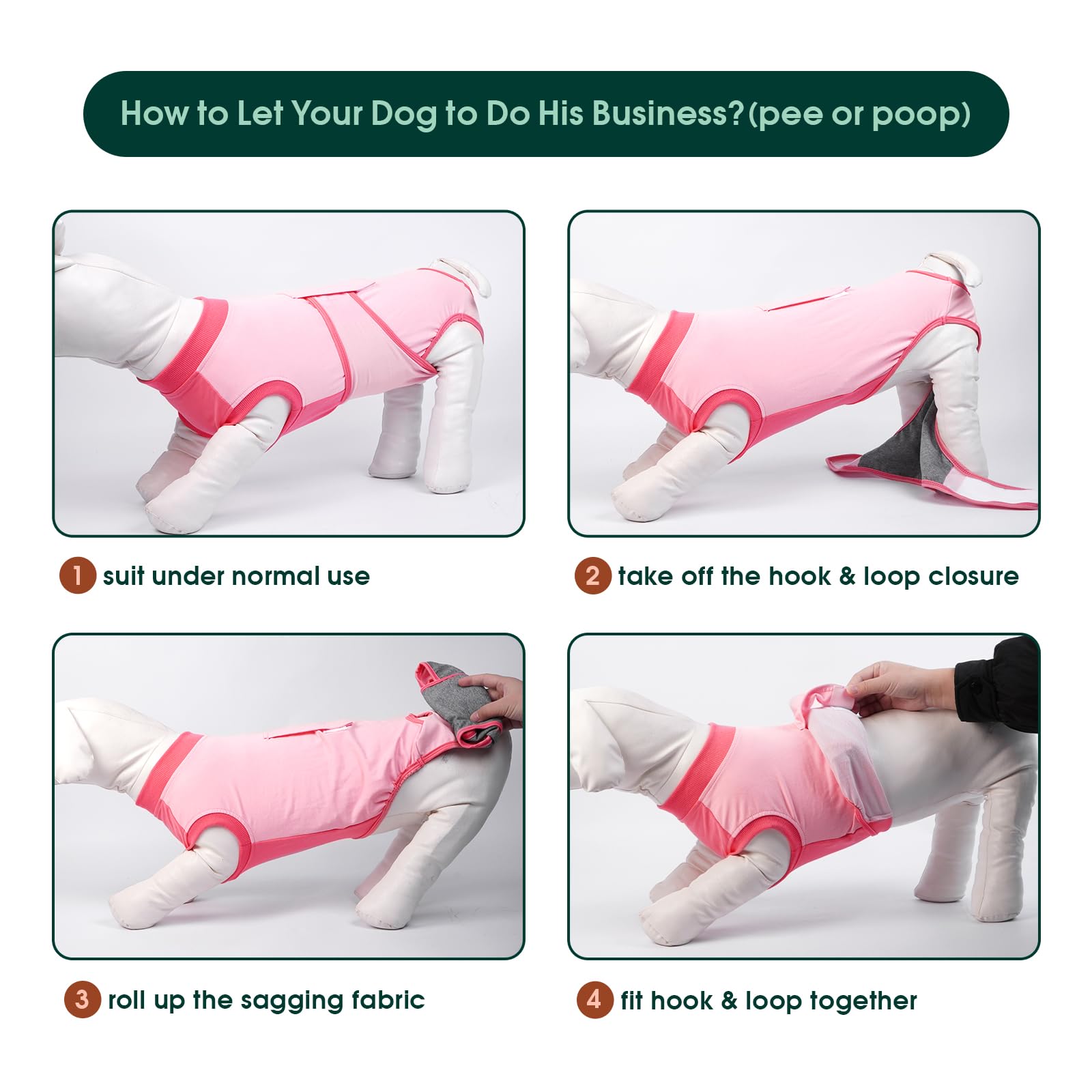Kuoser Recovery Suit disponible en tallas XS a 2XL para perros diversos.