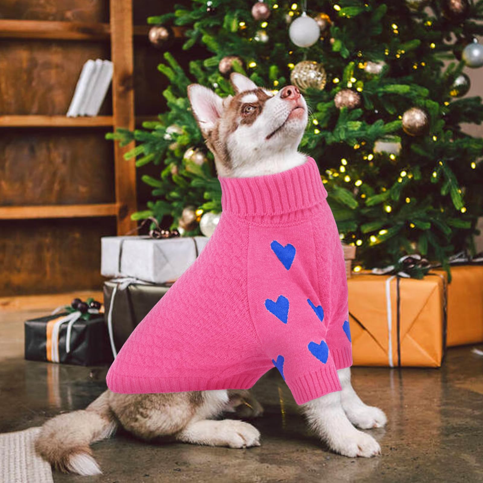 Kuoser sudadera para perros, uso interior-exterior, ideal para días fríos
