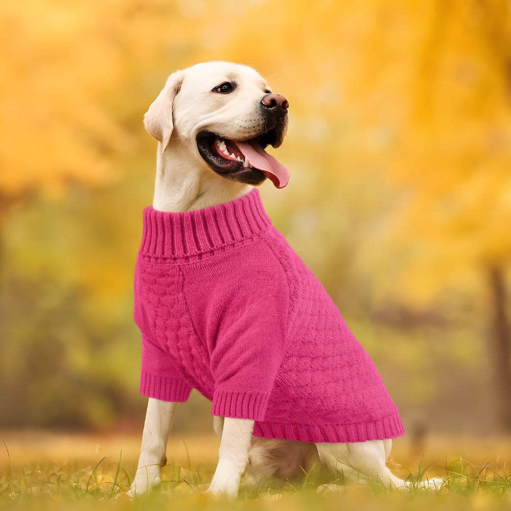 Sudadera Kuoser para perro grande, diseño festivo para ocasiones especiales.